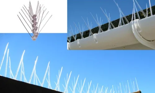 Anti Bird Spikes